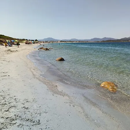 Studio's Pavese Lejlighed Olbia