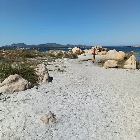 Studio's Pavese * Olbia