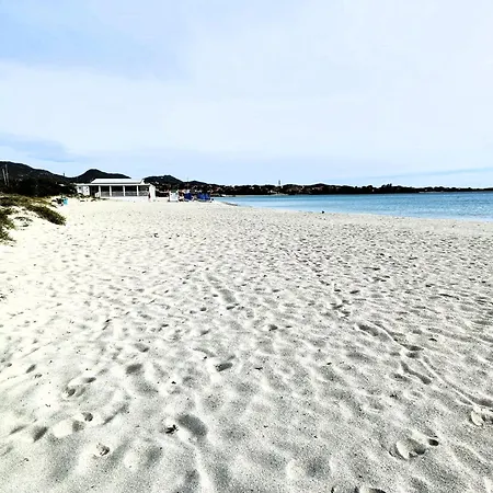 Studio's Pavese Lejlighed Olbia