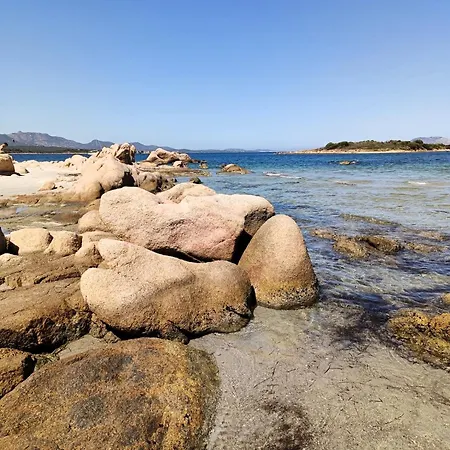 Lejlighed Studio's Pavese Olbia