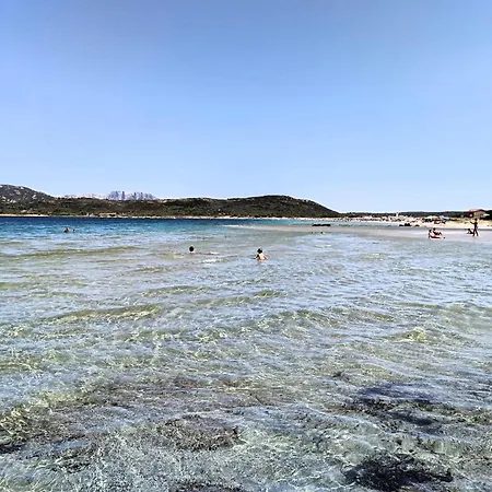 Studio's Pavese Lejlighed *