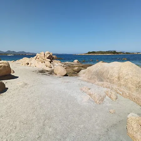 Studio's Pavese Olbia