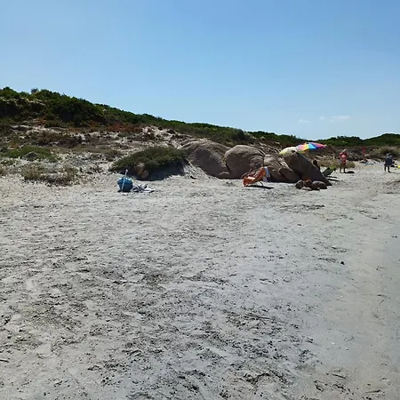 Studio's Pavese * 올비아