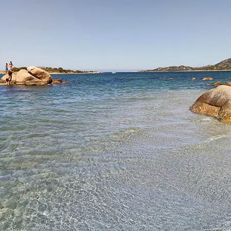 Daire Studio's Pavese