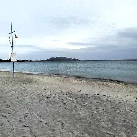 Studio's Pavese 올비아