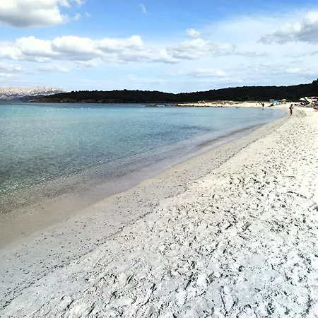 Studio's Pavese Olbia