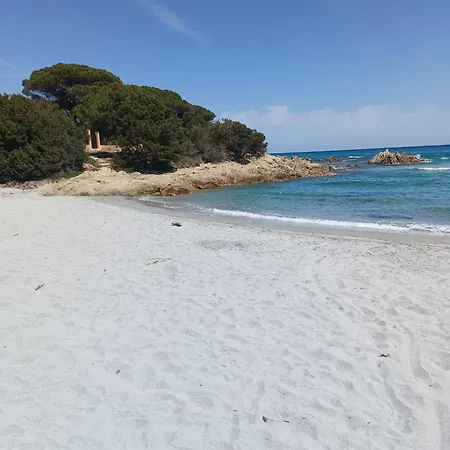 Studio's Pavese Olbia