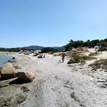 Studio's Pavese Daire *