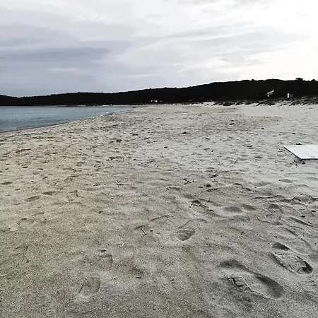 아파트 Studio's Pavese 올비아