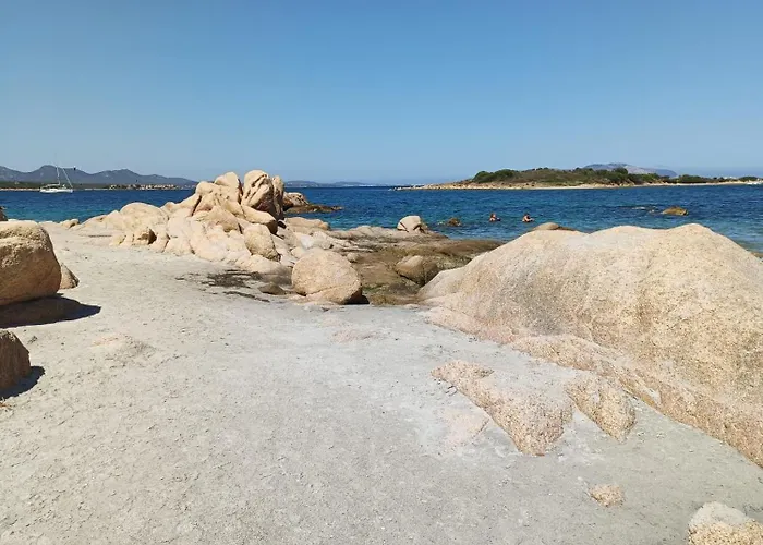 Studio's Pavese Olbia