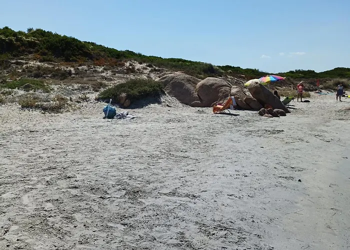 Studio's Pavese * Olbia