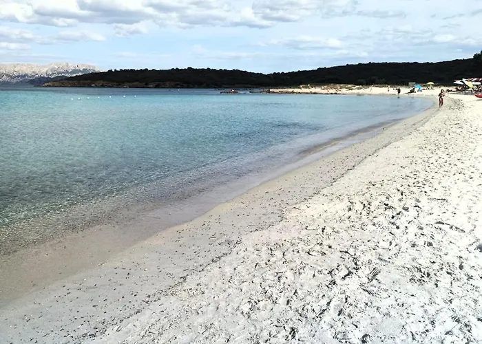 Studio's Pavese Olbia