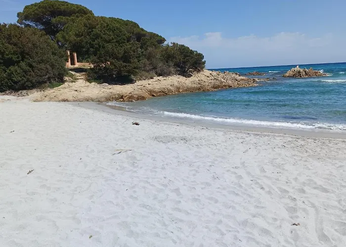 Studio's Pavese Olbia