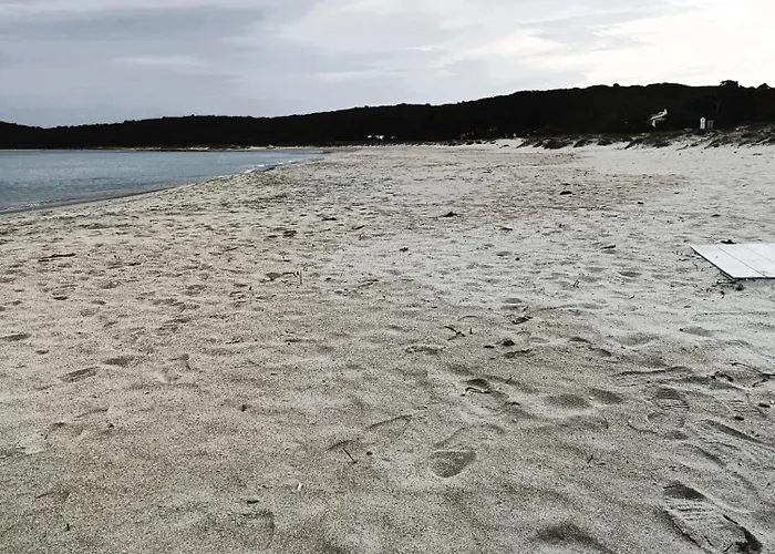 Appartement Studio's Pavese Olbia