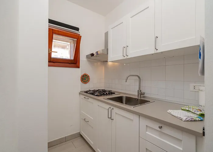 Studio's Pavese Olbia